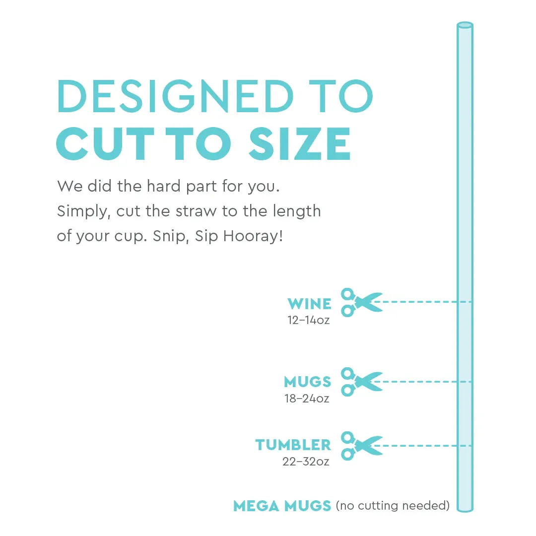 Reusable Straws W/ Toppers (Mult Styles)
