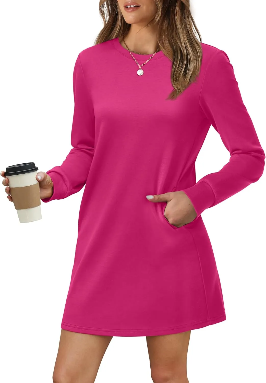 WIHOLL Dresses for Women Long Sleeve Casual Loose Fit Fall Fashion Crewneck Mini Dress with Pockets